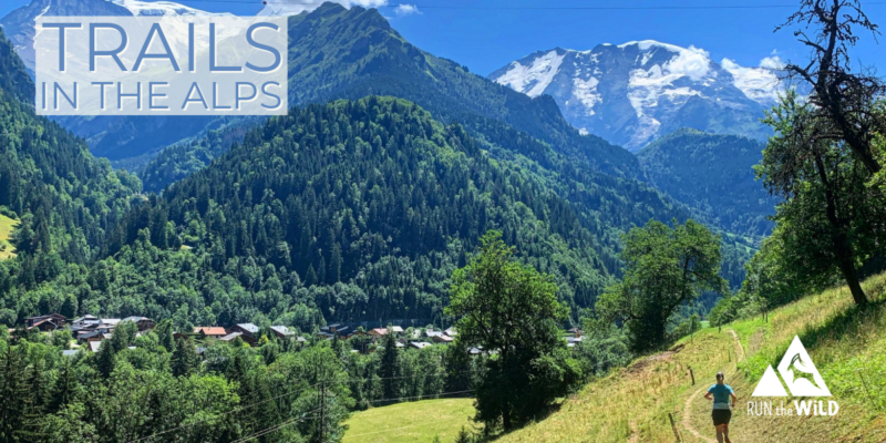 Trails in the Alps 2025 New