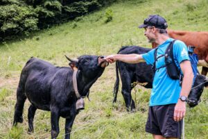 RtW_TrailsintheAlps_2024_Copyright_-110