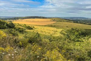 RtW_Chilterns10km_Copyright_2024-15