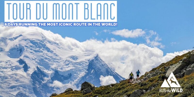 TMB website 2024 v2 copy