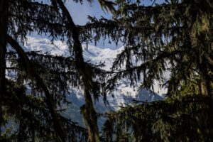 RtW_RunningYoga_May2025_Copyright-203