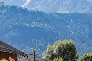 RtW_TrailsintheAlps_June2025_Copyright-028