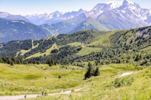 RtW_TrailsintheAlps_June2025_Copyright-106
