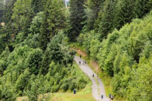 RtW_AlpineRunning_2025_Copyright-257