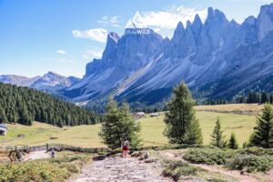 RtW_DolomitesTour_2025_Copyright-305