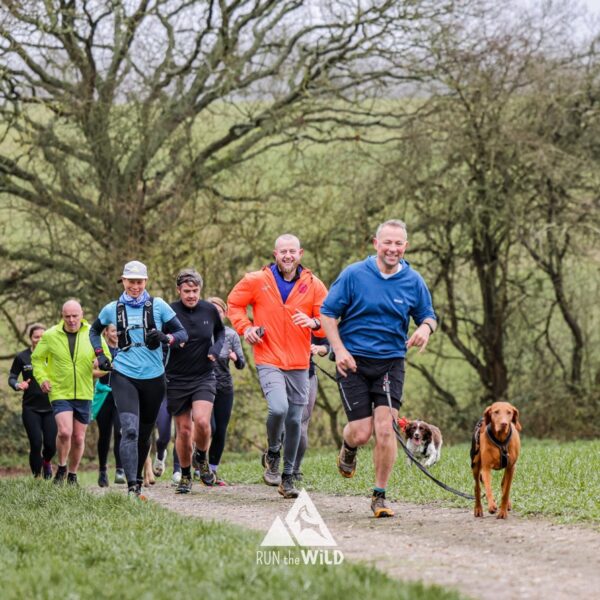 Trail runners running in the Chilterns on the Berko 10km organised by Run the Wild