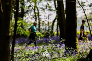 Runners completing the bluebell 10km in Tring with Run the Wild