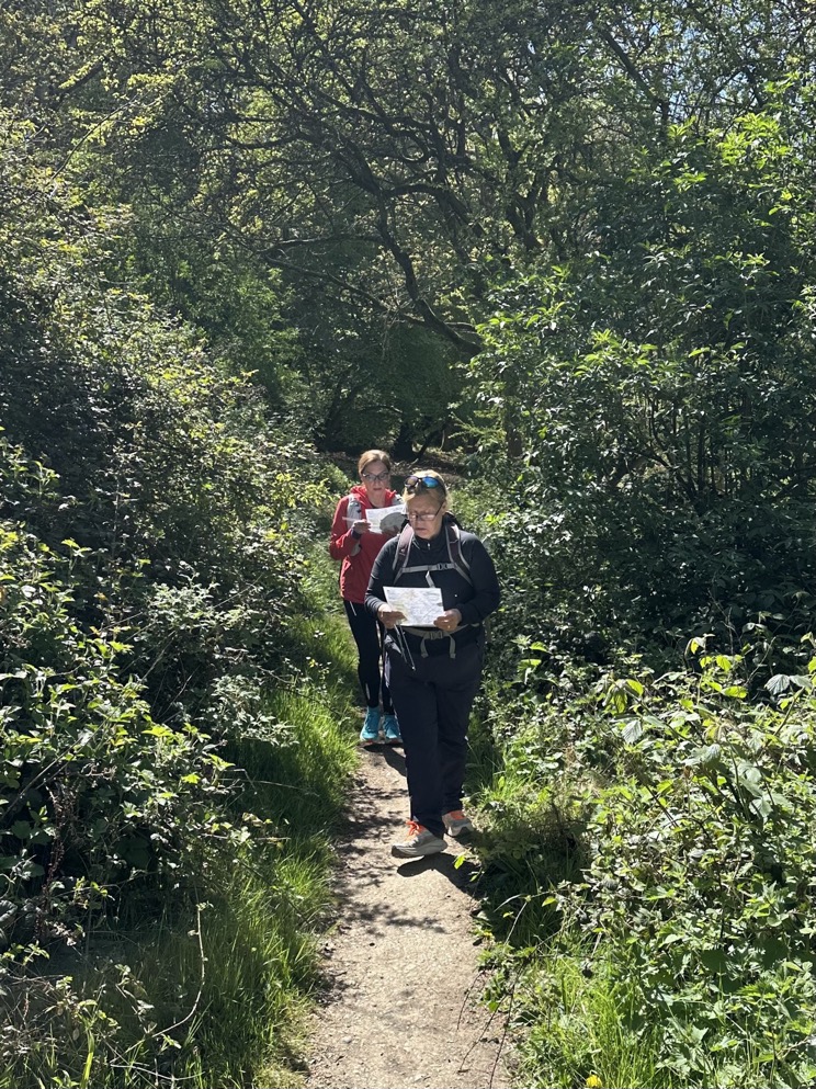 runners learning how to map read in the Chilterns
