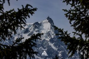 RtW_RunningYogaIntroAlps_May26_Copyright-178