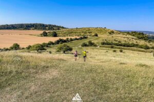 RtW_ChilternsSummer10k_2026-17 runners in the chilterns taking part in the summer 10km trail run