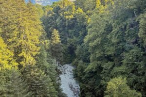 RtW_TrailsintheAlps_2026-061 RtW_TrailsintheAlps_2026-061