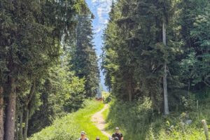 RtW_TrailsintheAlps_2026-123 RtW_TrailsintheAlps_2026-123
